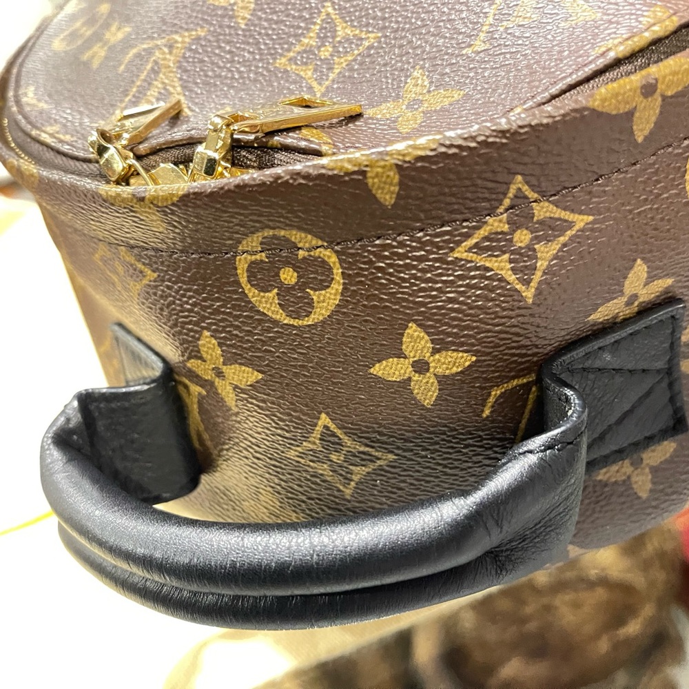 Louisvuitton Palms Spring PM  Reverse - Picture 4 of 11